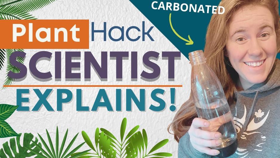 'Video thumbnail for Can You Water Plants With Carbonated Water? Soil Scientist Explains Why Plants Like Carbonated Water'