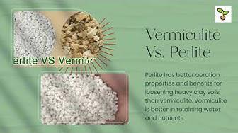 'Video thumbnail for How To Use Vermiculite In The Garden? The Advantages And Disadvantages Of Vermiculite 2021'