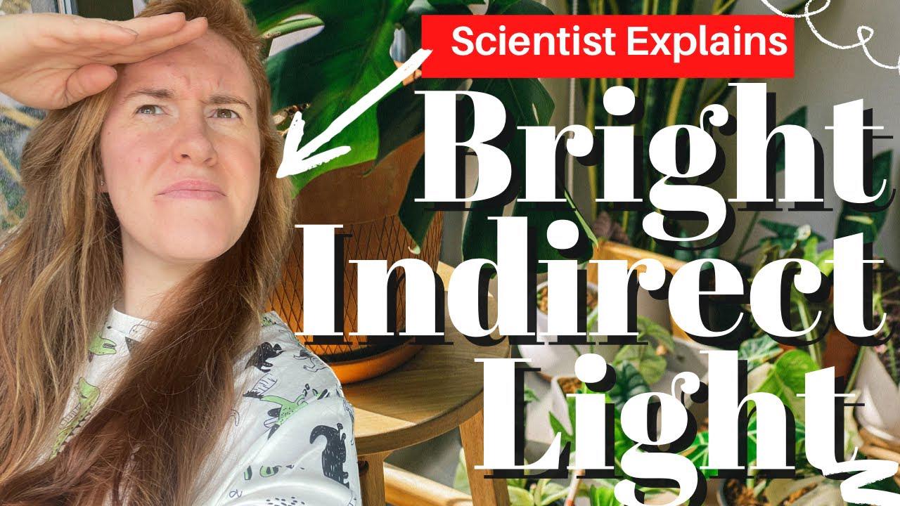 'Video thumbnail for Bright Indirect Light For Plants Explained. What Is Bright Indirect Light For Houseplants?'