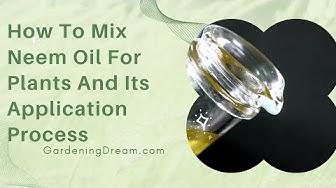 'Video thumbnail for How To Mix Neem Oil For Plants And Its Application Process'