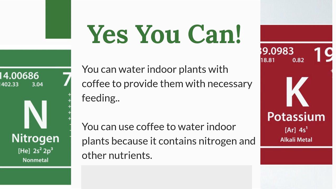 'Video thumbnail for Can You Water Houseplants with Coffee Ground? (2021)'
