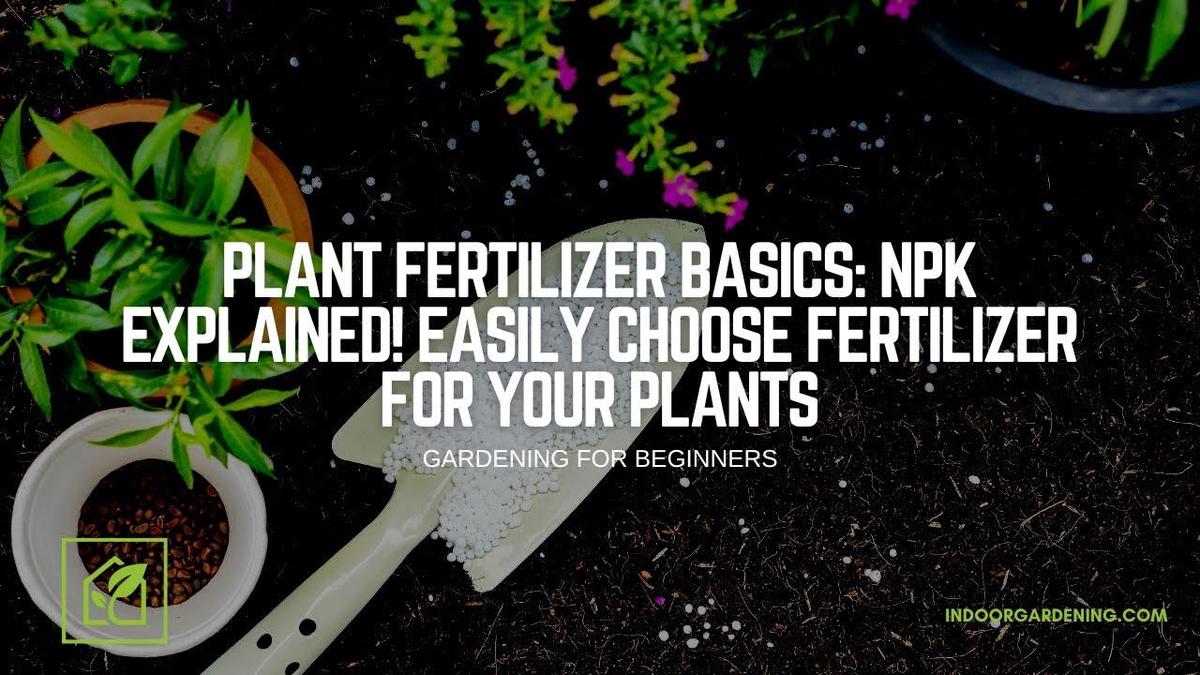 'Video thumbnail for Plant Fertilizer Basics - NPK Explained! Easily Choose Fertilizer For Your Plants'