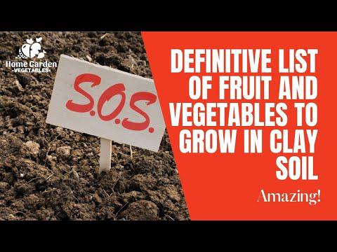 'Video thumbnail for Definitive List of Fruit And Vegetables To Grow In Clay Soil'