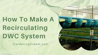 'Video thumbnail for How To Make A Recirculating DWC System'