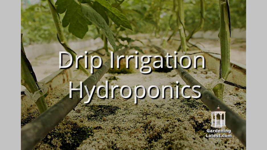 'Video thumbnail for Drip Irrigation Hydroponics '