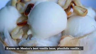 'Video thumbnail for Simple Guide To Vanilla Beans and Best Place Where To Buy Them (2021)'