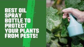 'Video thumbnail for Best Oil Spray Bottle To Protect Your Plants From Pests!'