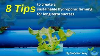 'Video thumbnail for 8 Useful Tips to Create a Sustainable Hydroponic Garden for Long-Term Success | Hydroponic Way'