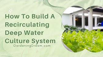 'Video thumbnail for How To Build A Recirculating Deep Water Culture System'