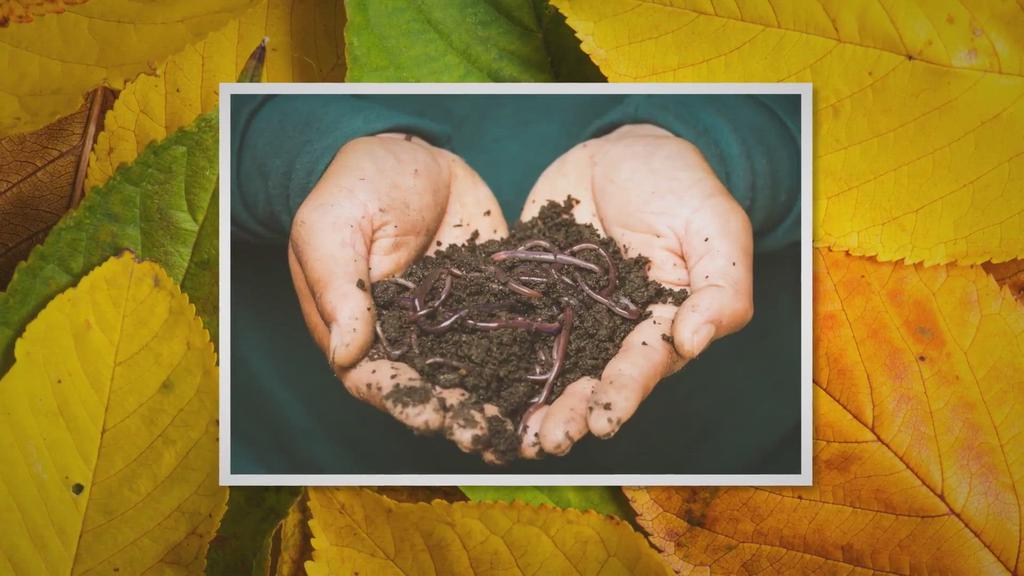 'Video thumbnail for Homesteading Secrets: 5 Fundamentals to Compost Faster'