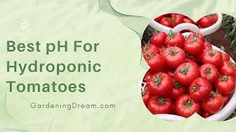'Video thumbnail for Best pH For Hydroponic Tomatoes'