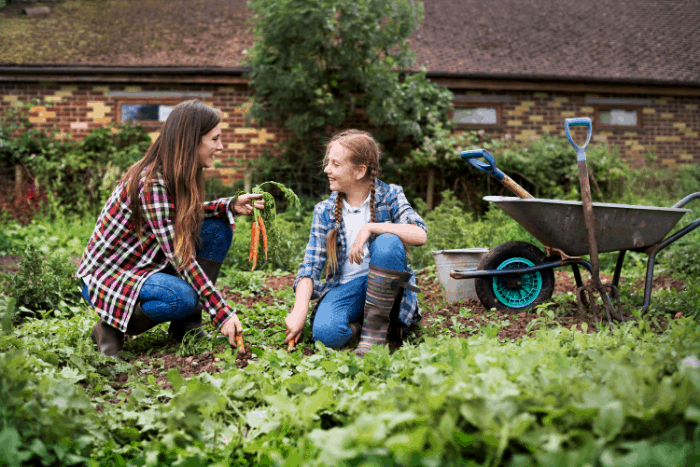 What are the Benefits of Gardening