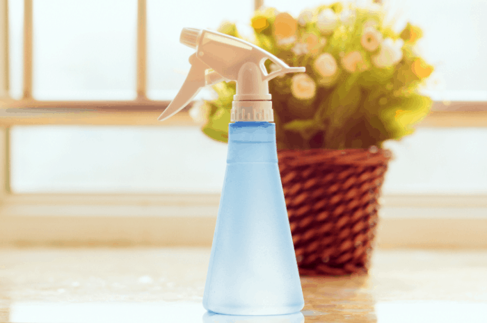 EcoSMART Organic Insecticide Review 2019