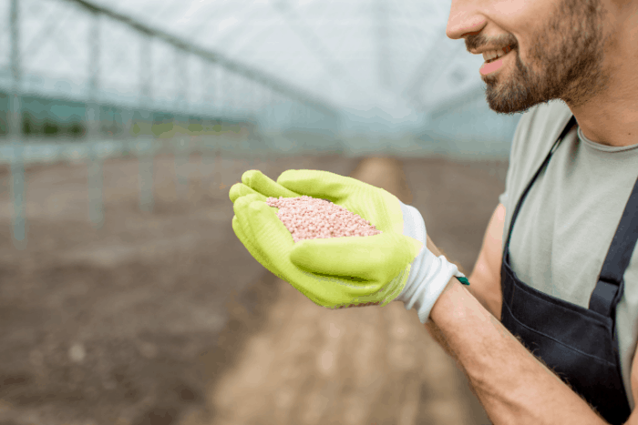 Amazing Sources of Plant Silica Fertilizer