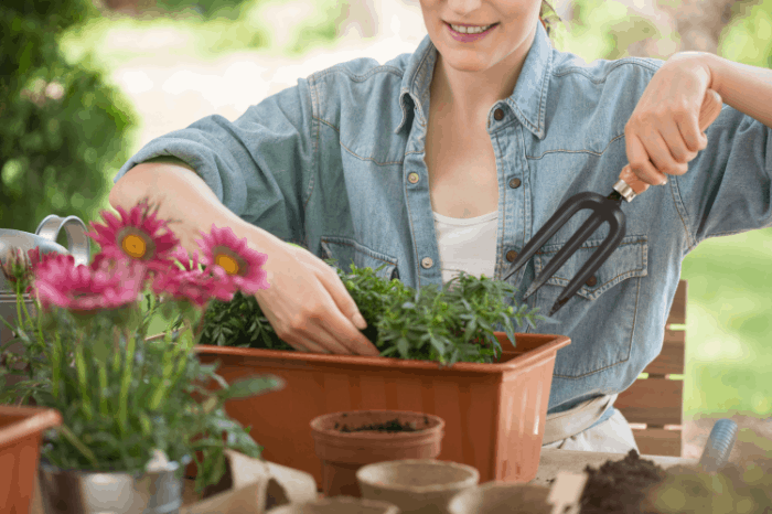 What are the Benefits of Gardening