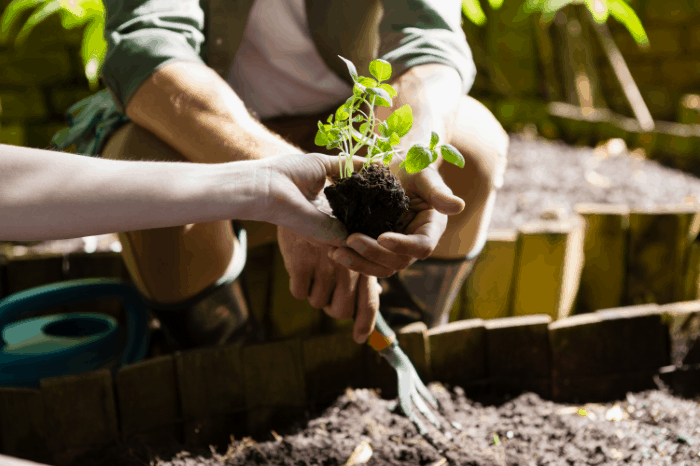 What are the Benefits of Gardening