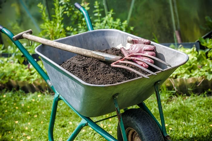 How to Compost: A Composting Guide for Beginners