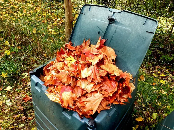 How to Compost and Compostable Items
