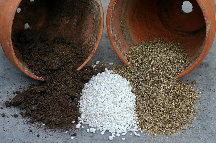 What is Perlite? And how is it Useful in the Garden? 