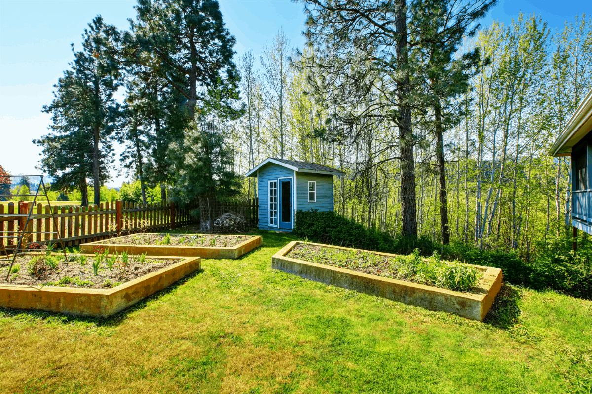 Everything You Need to Know Regarding Raised Garden Beds