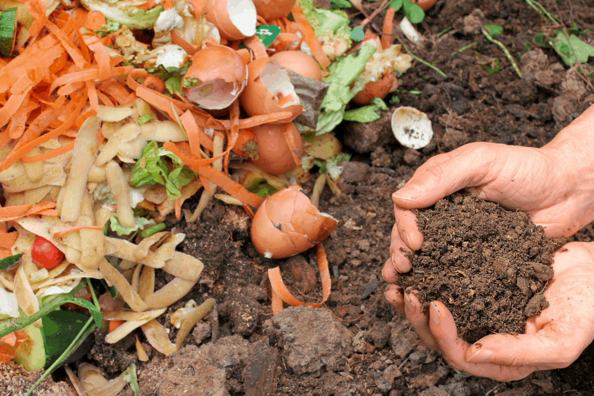 How to Compost and Compostable Items