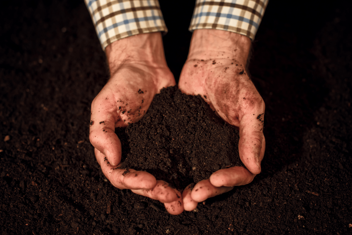 the best root organics soil review