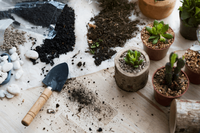 Roots Organic Soil 707: Benefits and How to Use