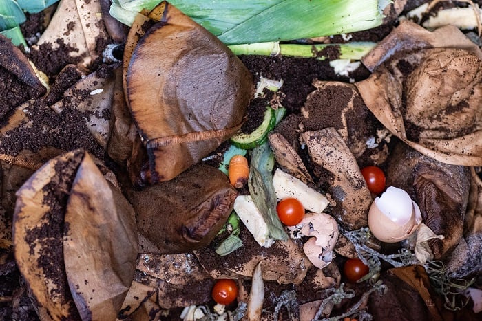 Can you Compost Coffee Filters? 