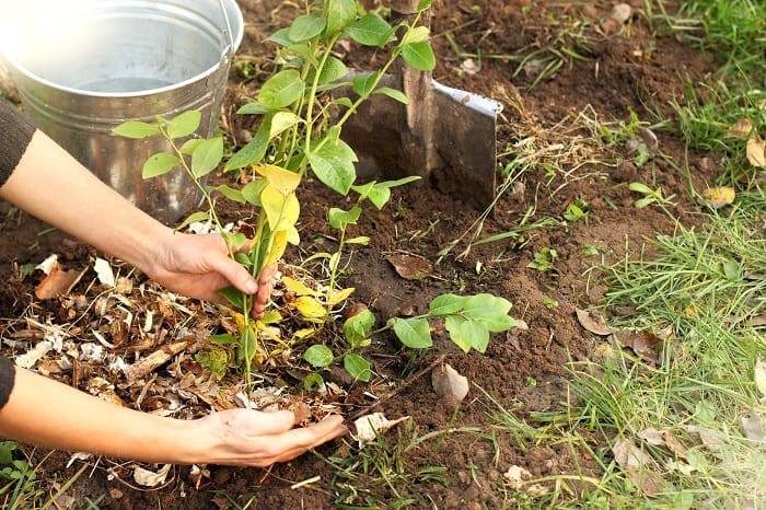 Can You Compost Coffee Filters Grower Today