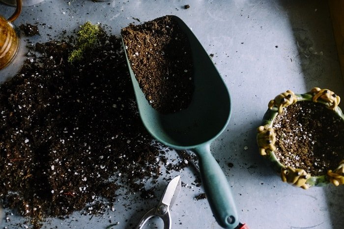 Plants that don't Like Mushroom Compost