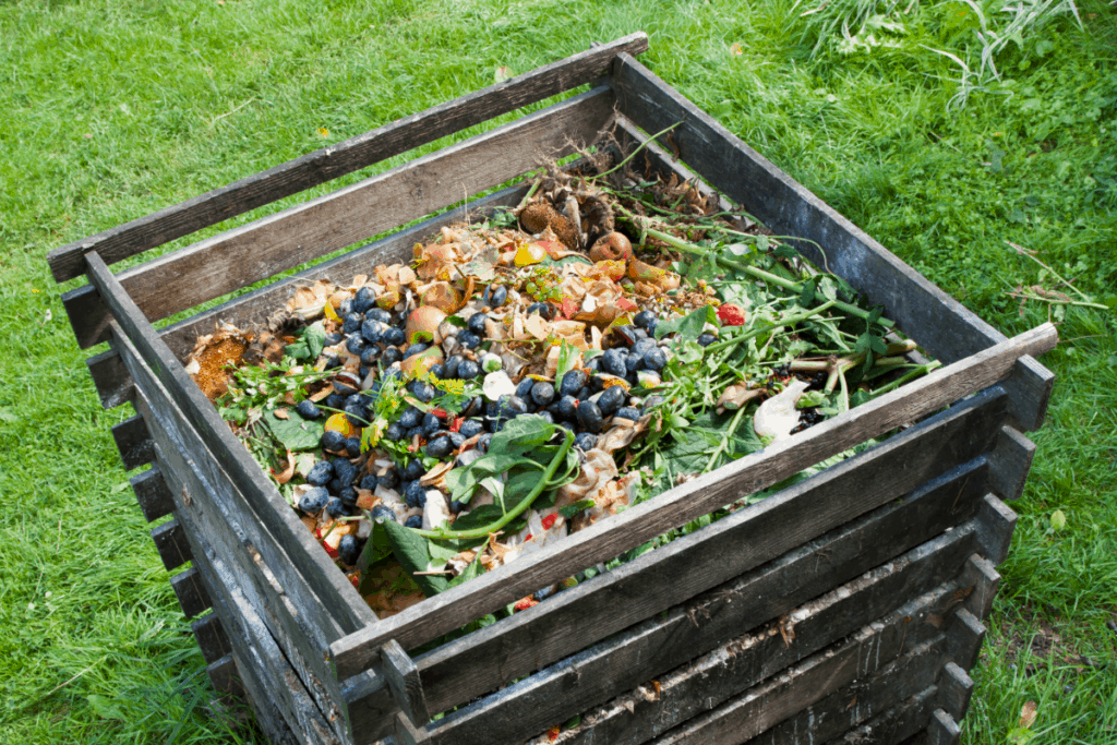 Can I Use Smelly Compost at Herbert Covington blog
