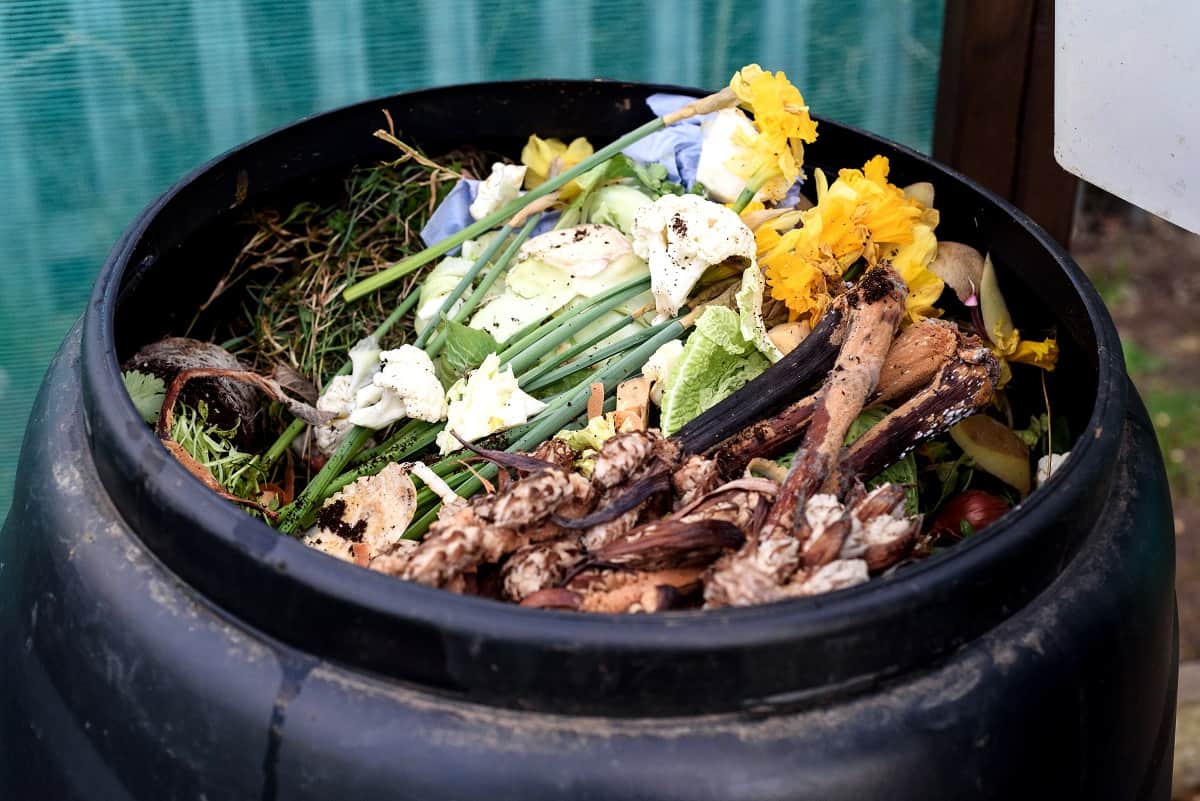 5 of the Best Urban Compost Tumblers