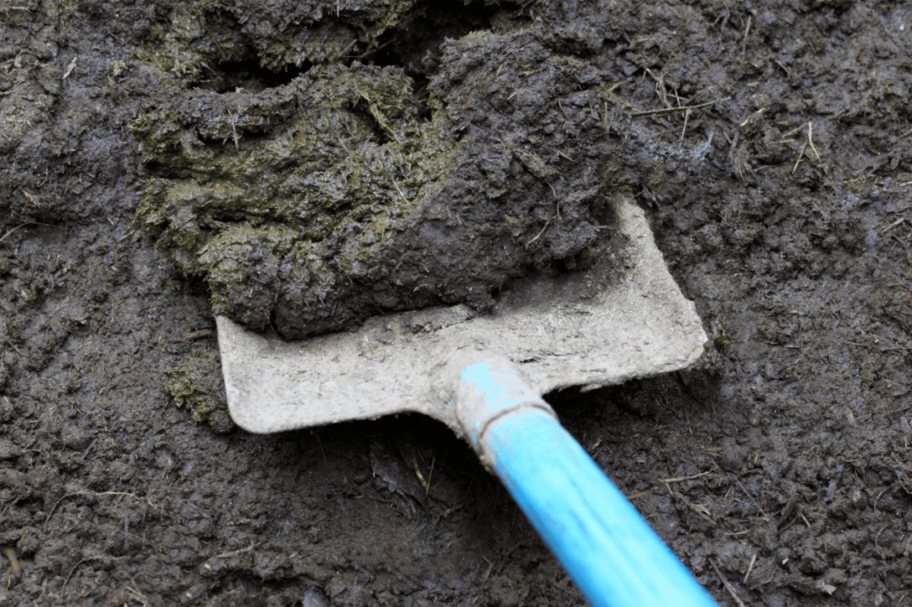 Easy Guide Composting Cow Manure Grower Today