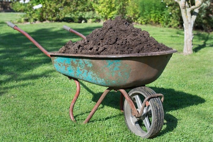 How Much Compost is Needed for a Lawn?