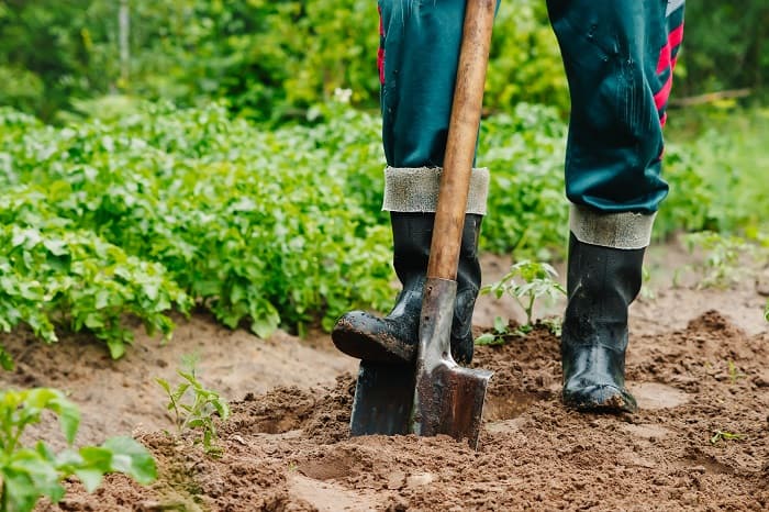 How Much Compost is Needed for a Lawn?