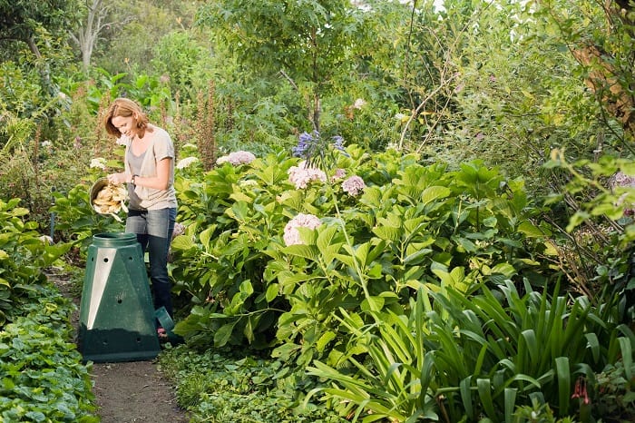 Lifetime Compost Bin Review 2019