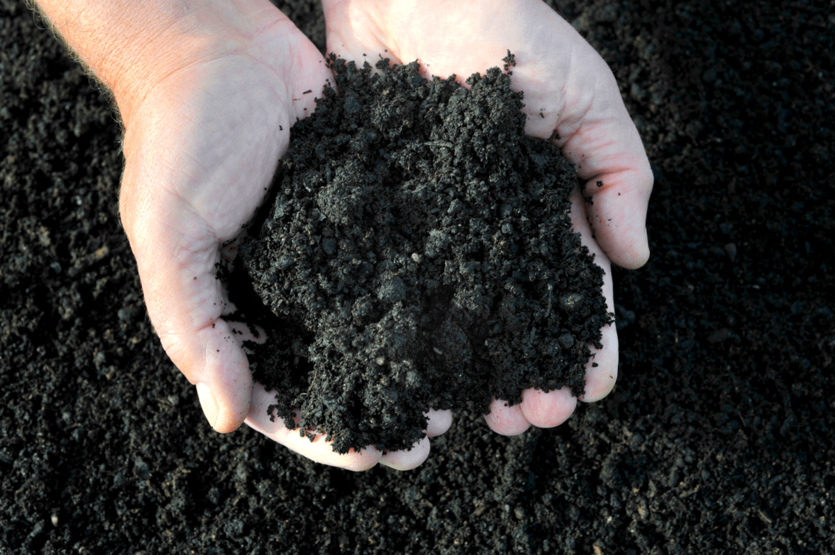 Nature’s Care 1 cu. Ft. Really Good Compost