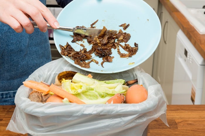 Organic Materials Can Meats Be Composted