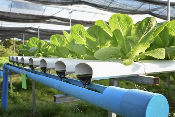 Using Safe Plastics for your Hydroponics