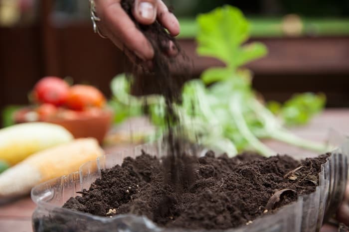 What Does Finished Compost Look Like?