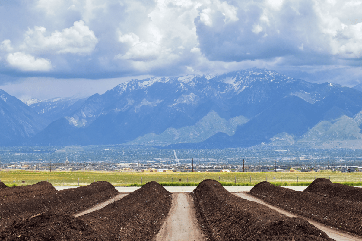 what-does-finished-compost-look-like-grower-today