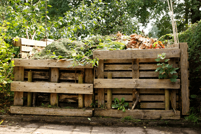 Are Pine Needles Good for Compost?