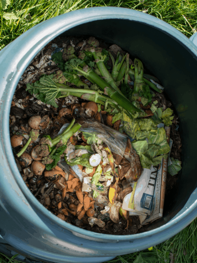 cropped-Keter-Decorative-Composter-Bin-Review-2019-–-The-Revolutionary-Way-of-Composting.png