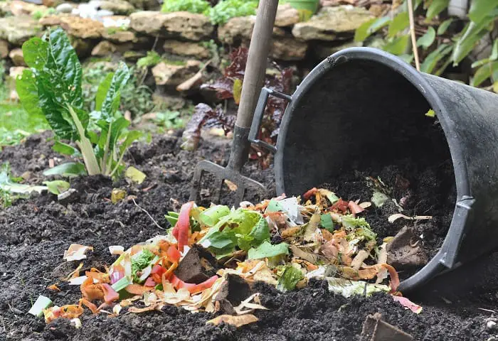 Easy-to-Follow Guide and Tips on How to Compost in a Bucket