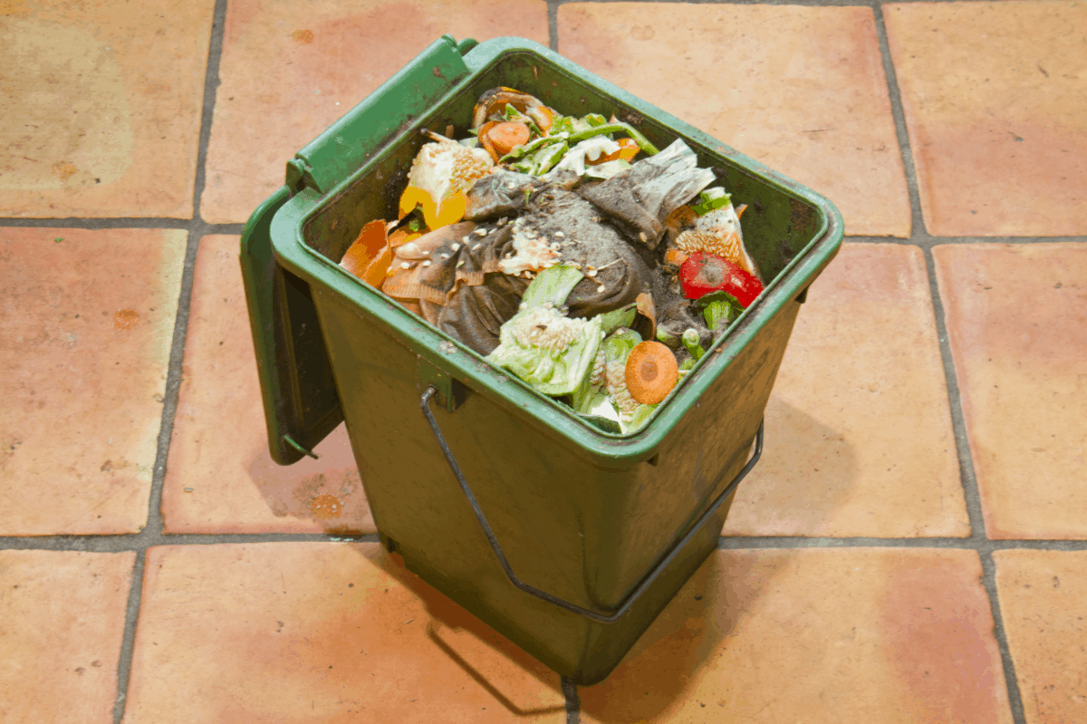 Easy-to-Follow Guide and Tips on How to Compost in a Bucket