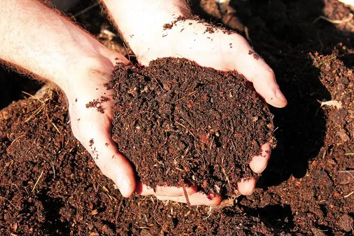 How to Compost Horse Manure Fast
