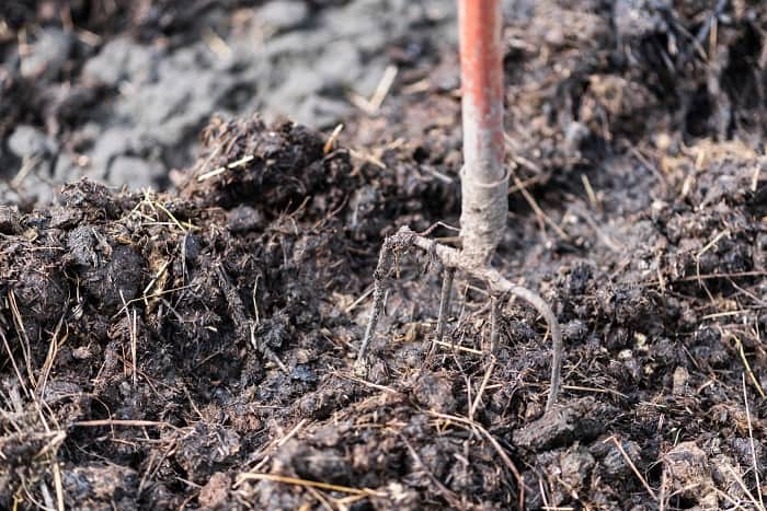 How to Compost Horse Manure Fast