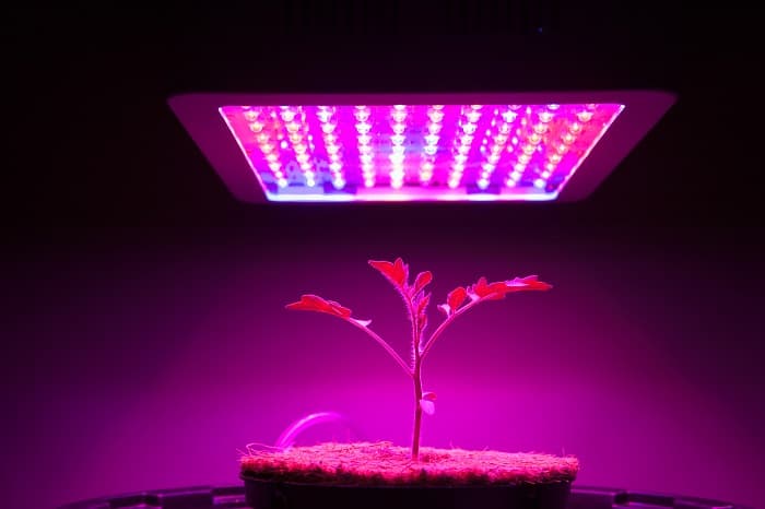 Is It Time to Switch to Hydroponics