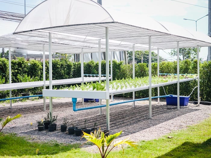 Is It Time to Switch to Hydroponics?