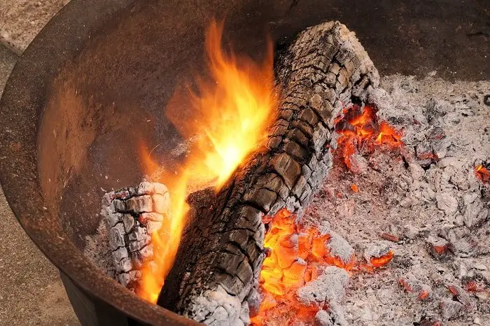 The Dos and Don’ts of Using Wood Ash in Your Compost